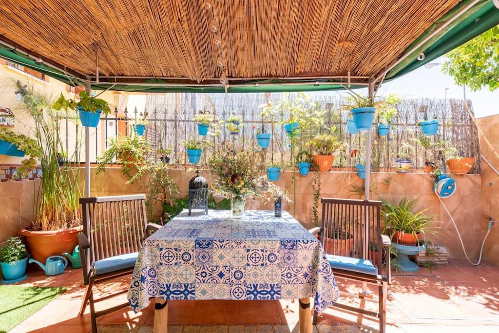 Cool Garden And Suite ไมเรียนา เดล อัลคาราเฟ ภายนอก รูปภาพ